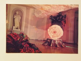 im kleefeld: image 2 0f 4 thumb